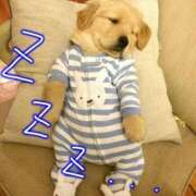 みさ おやすみなさい..zzZ🌛 水戸人妻花壇