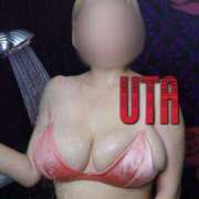 ヒメ日記 2025/11/11 08:44 投稿 ウタ ルパン