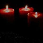 ヒメ日記 2025/12/19 03:01 投稿 ウタ ルパン