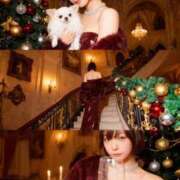 ヒメ日記 2025/12/25 12:12 投稿 ゆうみ 白いぽっちゃりさん五反田店