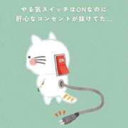 ヒメ日記 2025/12/20 10:11 投稿 ぷるん ビギナーズ神戸