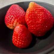 ヒメ日記 2026/01/21 22:32 投稿 みくり セレブクエスト-koshigaya-