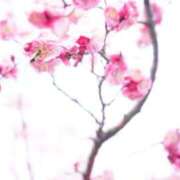 めぐ 春だね🌸🌸🌸 ぐっすり山田　大阪店