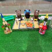 ヒメ日記 2026/01/05 11:18 投稿 柏木ゆうひ 恋する妻たち