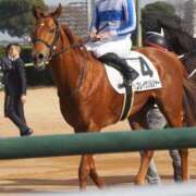 ヒメ日記 2026/01/05 13:28 投稿 柏木ゆうひ 恋する妻たち