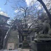 ヒメ日記 2026/02/18 13:28 投稿 柏木ゆうひ 恋する妻たち