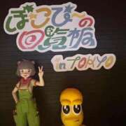 ヒメ日記 2026/02/28 22:58 投稿 柏木ゆうひ 恋する妻たち