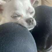 ヒメ日記 2025/11/02 16:19 投稿 ゆうひ 西船巨乳ぽっちゃり　乳神さま