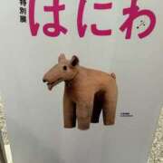 ヒメ日記 2025/11/03 10:32 投稿 ゆうひ 西船巨乳ぽっちゃり　乳神さま