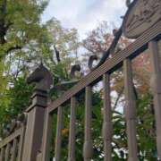 ヒメ日記 2025/11/11 16:19 投稿 ゆうひ 西船巨乳ぽっちゃり　乳神さま