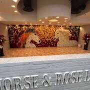 ヒメ日記 2025/11/16 13:39 投稿 ゆうひ 西船巨乳ぽっちゃり　乳神さま