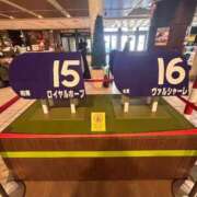 ヒメ日記 2025/11/26 12:09 投稿 ゆうひ 西船巨乳ぽっちゃり　乳神さま