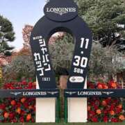 ヒメ日記 2025/11/26 19:29 投稿 ゆうひ 西船巨乳ぽっちゃり　乳神さま