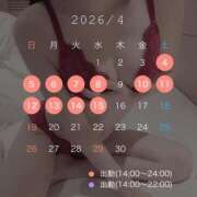 ヒメ日記 2026/04/04 11:56 投稿 【新人イベント】りか ごほうびSPA千葉店