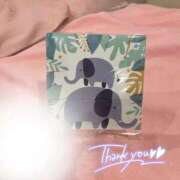 ヒメ日記 2025/11/24 16:00 投稿 しう チューリップ福井本館