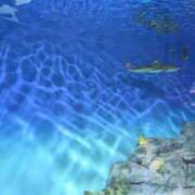 ヒメ日記 2025/11/21 17:05 投稿 あゆ 若妻淫乱倶楽部