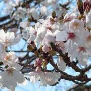 ヒメ日記 2026/03/27 09:59 投稿 はな 佐世保人妻デリヘル「デリ夫人」