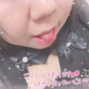 ヒメ日記 2025/11/30 12:20 投稿 いより 風俗の神様　浜松店