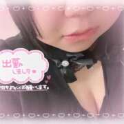 ヒメ日記 2025/12/29 12:20 投稿 いより 風俗の神様　浜松店