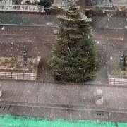 ヒメ日記 2026/02/07 15:46 投稿 ココロ エピソード(品川)