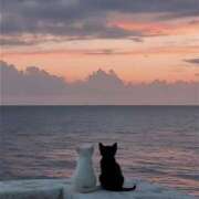 ヒメ日記 2025/11/10 19:01 投稿 杉崎 鶯谷人妻城