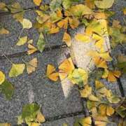 ヒメ日記 2025/12/12 02:32 投稿 るん スピード難波店