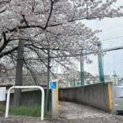 ヒメ日記 2026/04/06 04:10 投稿 なつ 虹色メロンパイ 横浜店