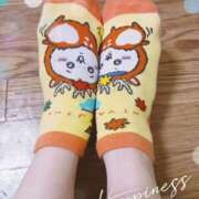 ヒメ日記 2025/11/07 11:51 投稿 -新人-つばさ ご近所物語