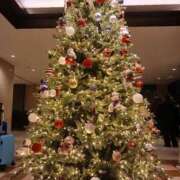 ヒメ日記 2025/11/15 10:45 投稿 -新人-つばさ ご近所物語