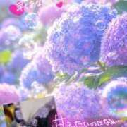 ヒメ日記 2026/06/04 08:59 投稿 みゆ 若妻淫乱倶楽部 久喜店