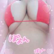 ヒメ日記 2025/11/20 15:20 投稿 せな デリトップ