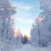 ヒメ日記 2026/01/03 03:57 投稿 うゆ 女の子がセルフで撮影する店！！成田デリヘル『生パネル』伝説