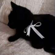 うゆ 💌レモンツリー211号室90分コースのお兄さんへ💌 女の子がセルフで撮影する店！！成田デリヘル『生パネル』伝説