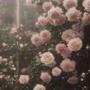 うゆ 💌自宅60分コースのお兄さんへ💌 女の子がセルフで撮影する店！！成田デリヘル『生パネル』伝説