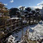 ヒメ日記 2026/01/02 12:42 投稿 めるも 人妻アクメ 60分11000円～