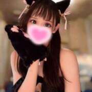 ヒメ日記 2025/12/11 13:45 投稿 ゆめあ 綺麗なお姉様専門　新横浜リング4C（アンジェリークグループ）