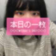 ヒメ日記 2025/11/09 15:09 投稿 みみ 白いぽっちゃりさん五反田店