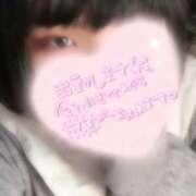 ヒメ日記 2026/01/11 22:29 投稿 みみ 白いぽっちゃりさん五反田店