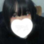 ヒメ日記 2026/02/11 16:49 投稿 みみ 白いぽっちゃりさん五反田店