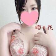 ヒメ日記 2025/11/04 12:59 投稿 瑠々花 高崎人妻城