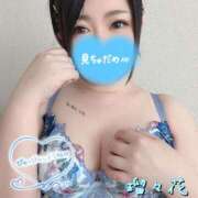 ヒメ日記 2025/11/07 13:16 投稿 瑠々花 高崎人妻城