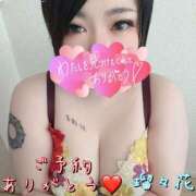 ヒメ日記 2025/11/08 11:09 投稿 瑠々花 高崎人妻城