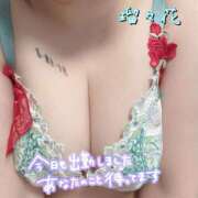 ヒメ日記 2025/11/09 13:45 投稿 瑠々花 高崎人妻城