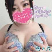 ヒメ日記 2025/11/10 14:53 投稿 瑠々花 高崎人妻城