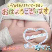 ヒメ日記 2025/11/11 08:28 投稿 瑠々花 高崎人妻城