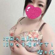 ヒメ日記 2025/11/11 22:21 投稿 瑠々花 高崎人妻城