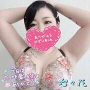 ヒメ日記 2025/11/17 15:54 投稿 瑠々花 高崎人妻城