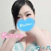 ヒメ日記 2025/11/18 15:12 投稿 瑠々花 高崎人妻城