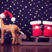 ヒメ日記 2025/12/17 21:09 投稿 みなみ 胡蝶蘭