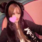 ヒメ日記 2025/12/05 06:04 投稿 ここ JAPAN CLUB BUNNY LOUNGE